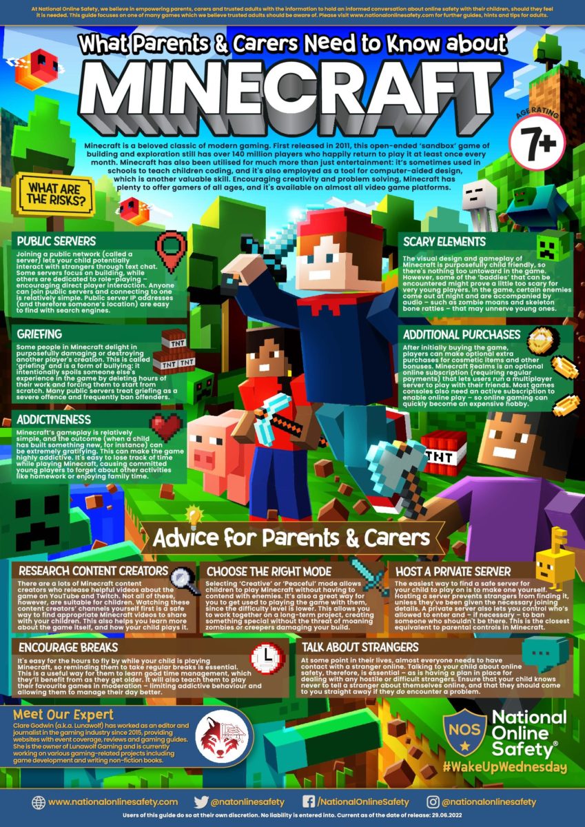 Minecraft Minecraft parental info